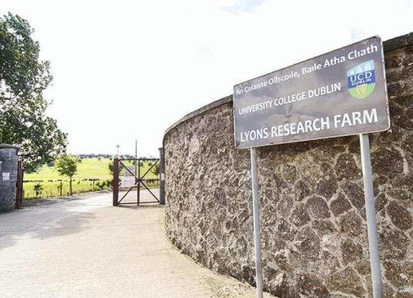 New €2.8m development planned for UCD Lyons Farm in Celbridge