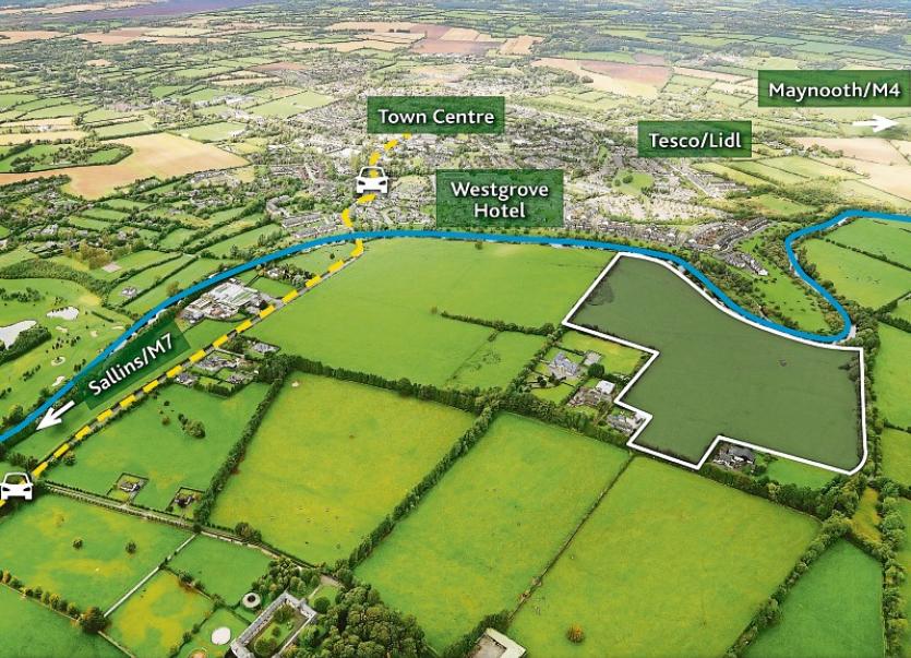 KILDARE PROPERTY WATCH Prime agricultural land for sale near Clane