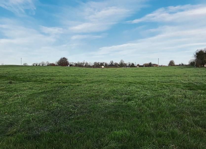 KILDARE PROPERTY WATCH Kilshanroe land for sale Leinster Leader
