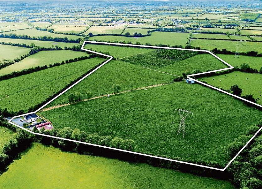 Kildare Property Watch House for sale on 31 acres at Laragh, Maynooth