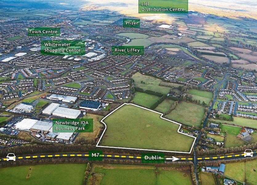 Large plot of industrial land for sale in Newbridge Leinster Leader