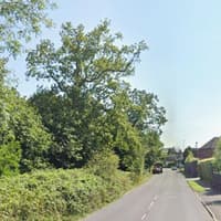 Kildare trees to be pruned in December